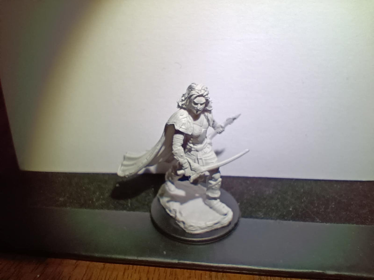 Custom painted figures