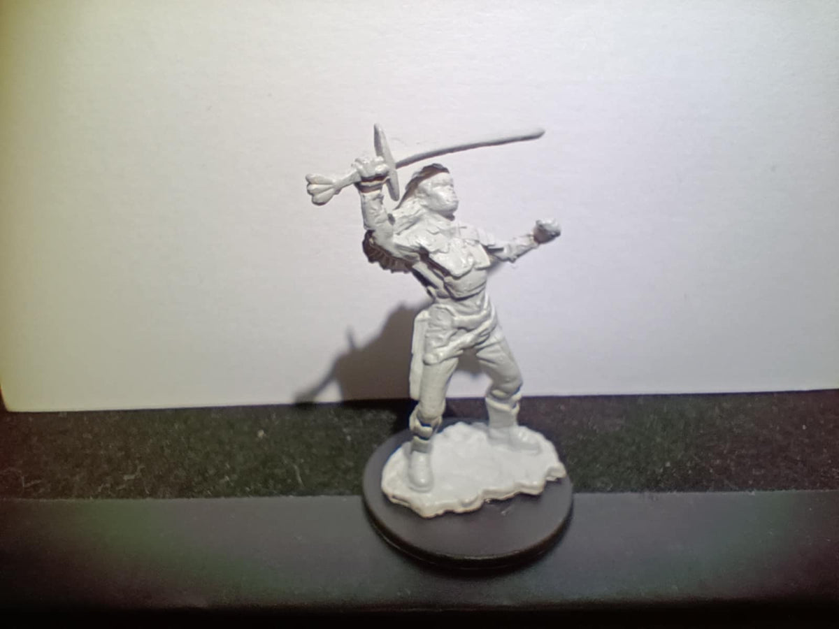 Custom painted figures