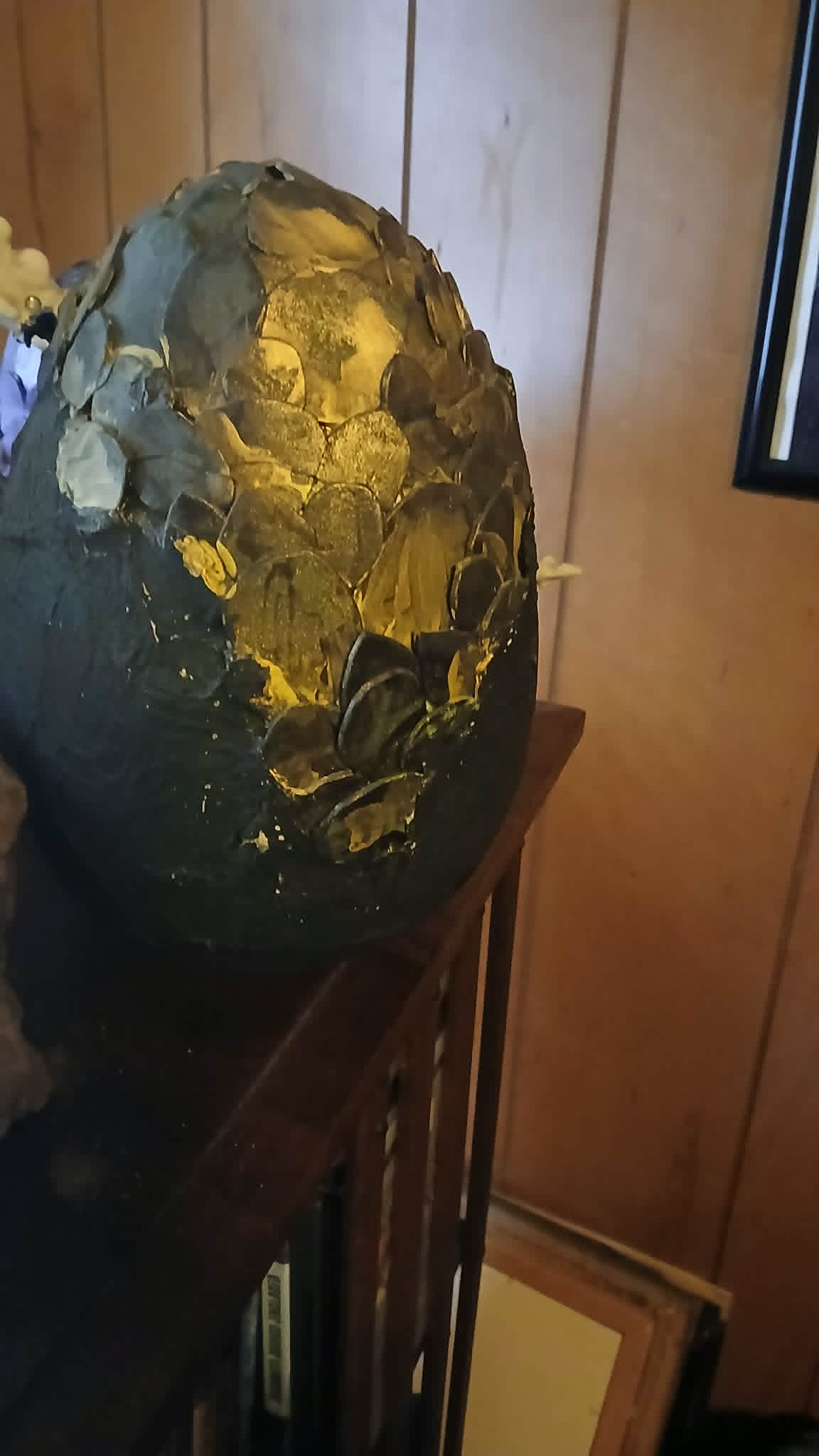 Dragon Eggs